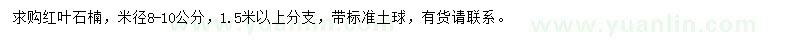 求購米徑8-10公分紅葉石楠