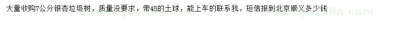 求購7公分銀杏