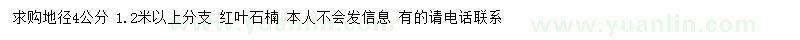 求購(gòu)地徑4公分紅葉石楠