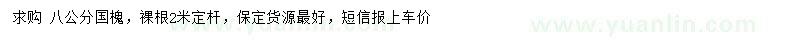 求購(gòu)8公分國(guó)槐