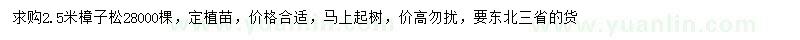 求購2.5米樟子松