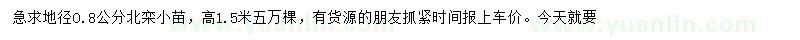 求購地徑O.8公分北欒小苗