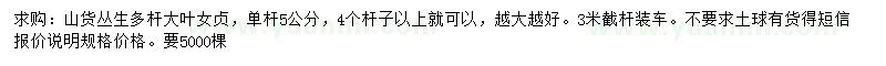 求購5公分大葉女貞