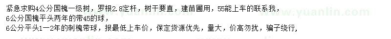 求購4、6公分國槐、6公分刺槐