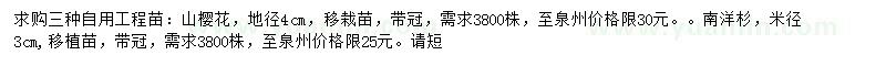 求購山櫻花、南洋杉、黃連木地苗