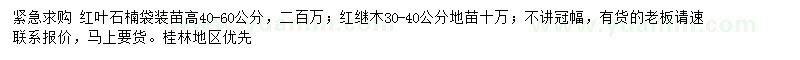 求購(gòu)高40-60公分紅葉石楠、30-40公分紅繼木
