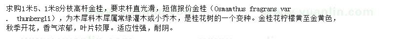 求購1米5高桿金桂