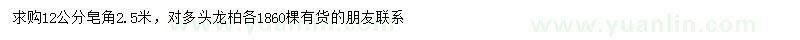 求購12公分皂角、對多頭龍柏