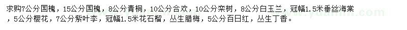 求購國槐、青桐、合歡等