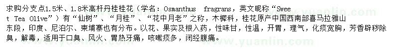求購(gòu)分支點(diǎn)1.5米高桿丹桂