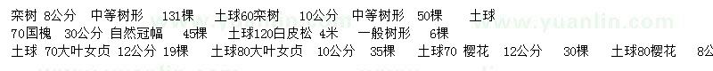 求購欒樹、國槐、白皮松等