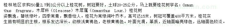 求購50量2.7-3公分以上桂花樹