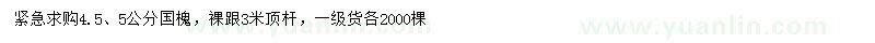 求購4.5、5公分國槐