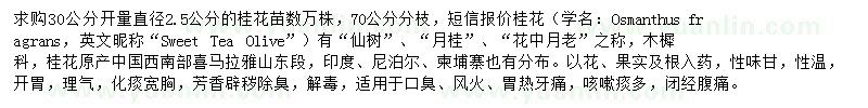 求購30公分開量直徑2.5公分桂花苗
