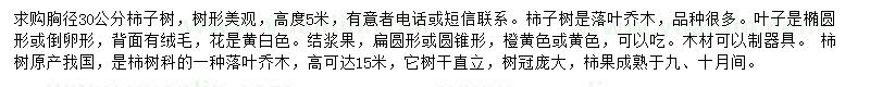 求購胸徑30公分柿子樹