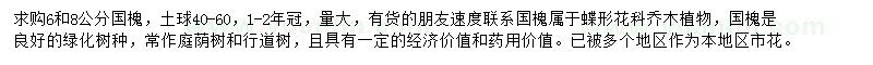 求購6、8公分國槐