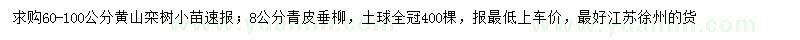求購(gòu)60-100公分黃山欒樹(shù)小苗、8公分青皮垂柳