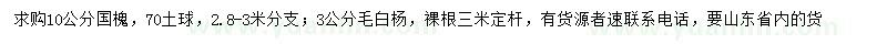 求購10公分國槐、3公分毛白楊