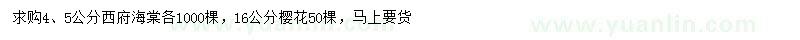 求購4、5公分西府海棠、16公分櫻花