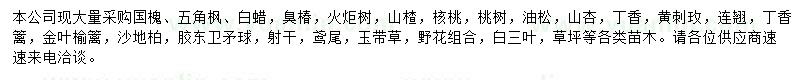 求購國槐、五角楓、白蠟等