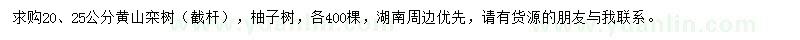 求購20、25公分黃山欒樹、柚子樹