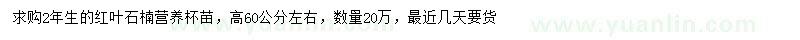 求購高60公分左右紅葉石楠