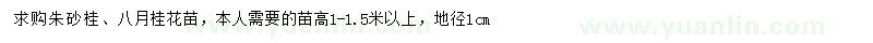 求購高1-1.5米以上朱砂桂、八月桂