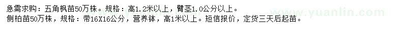 求購(gòu)高1.2米以上五角楓、高1米以上側(cè)柏