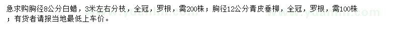 求購胸徑8公分白蠟、胸徑12公分青皮垂柳
