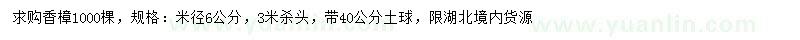 求購米徑6公分香樟