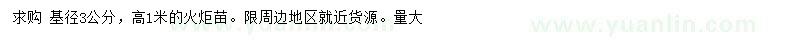 求購高1米火炬苗
