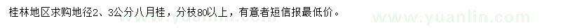 求購地徑2、3公分八月桂