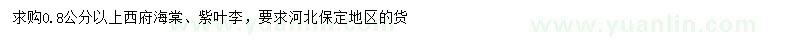 求購0.8公分以上西府海棠、紫葉李
