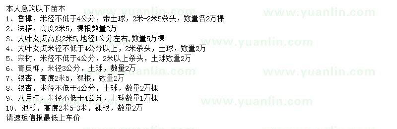 求購(gòu)香樟、法梧、大葉女貞等