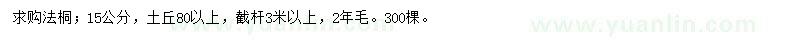 求購15公分法桐