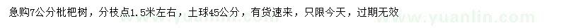 求購7公分枇杷樹