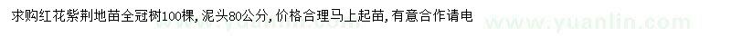 求購14公分紅花紫荊