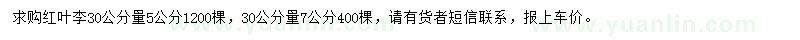 求購30公分量5、7公分紅葉李