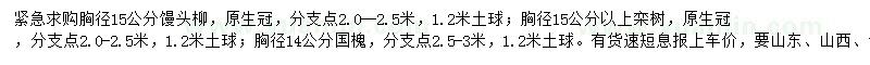 求購(gòu)饅頭柳、欒樹(shù)、國(guó)槐
