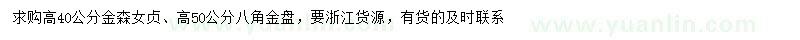 求購高40公分金森女貞、高50公分八角金盤