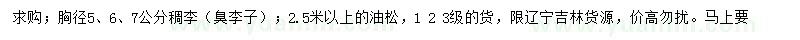 求購胸徑5、6、7公分稠李、2.5米以上油松