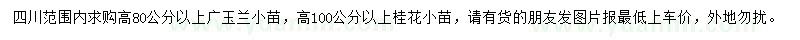 求購(gòu)高80公分以上廣玉蘭、高100公分以上桂花