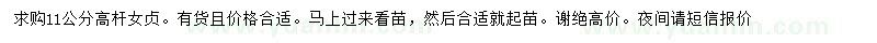 求購11公分高桿女貞