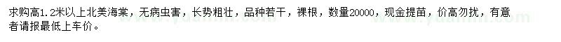 求購(gòu)高1.2米以上北美海棠
