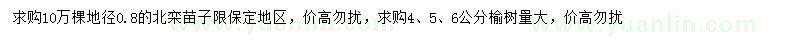 求購地徑0.8公分北欒、4、5、6公分榆樹