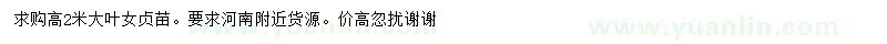 求購高2米大葉女貞