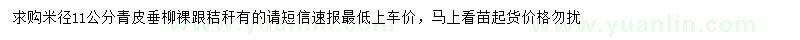 求購(gòu)米徑11公分青皮垂柳