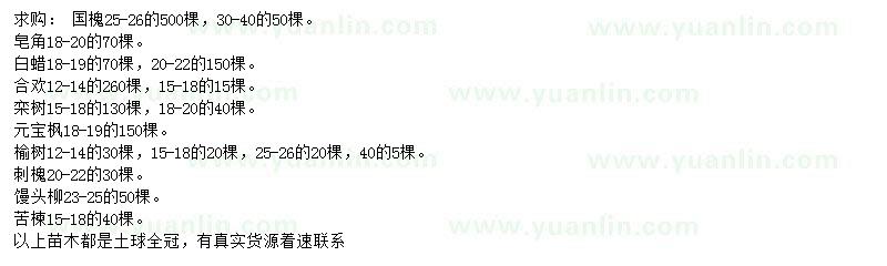 求購國槐、皂角、白蠟等