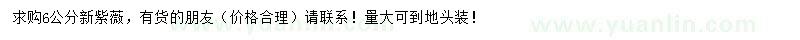 求購6公分紫薇
