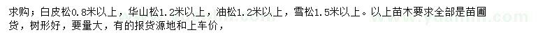 求購白皮松、華山松、油松等